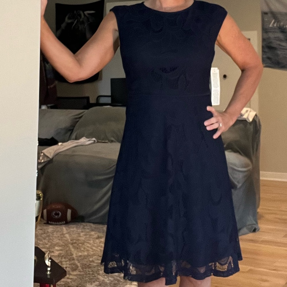 WISP Petites Dress NWT